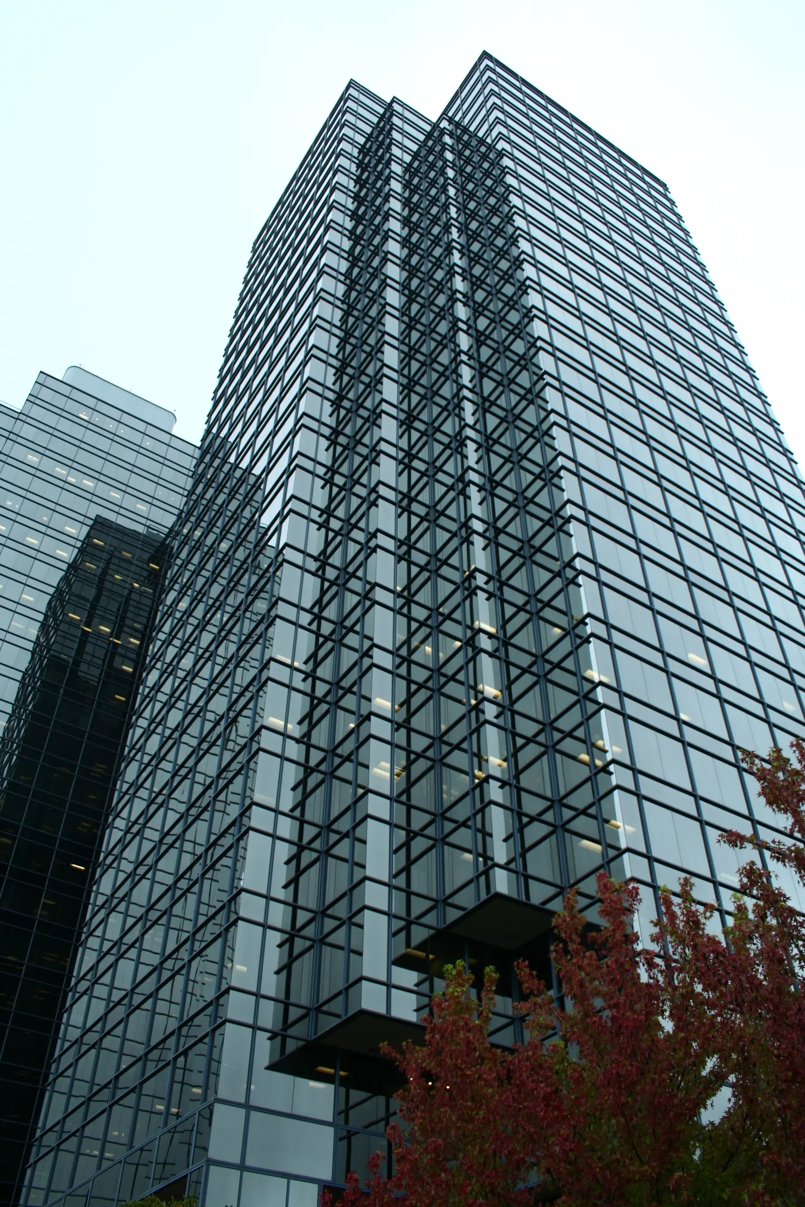 Tall dark glass office tower with red autumn leaves in the foreground