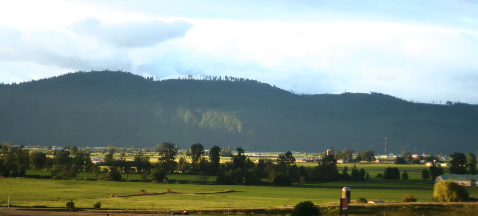 Green farm fields with trees and a silo below a dark forested hill under cloudy sky