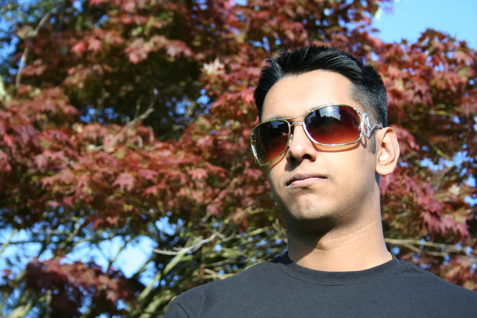 Young man wearing sunglasses and a black t-shirt in front of a red maple tree and blue sky