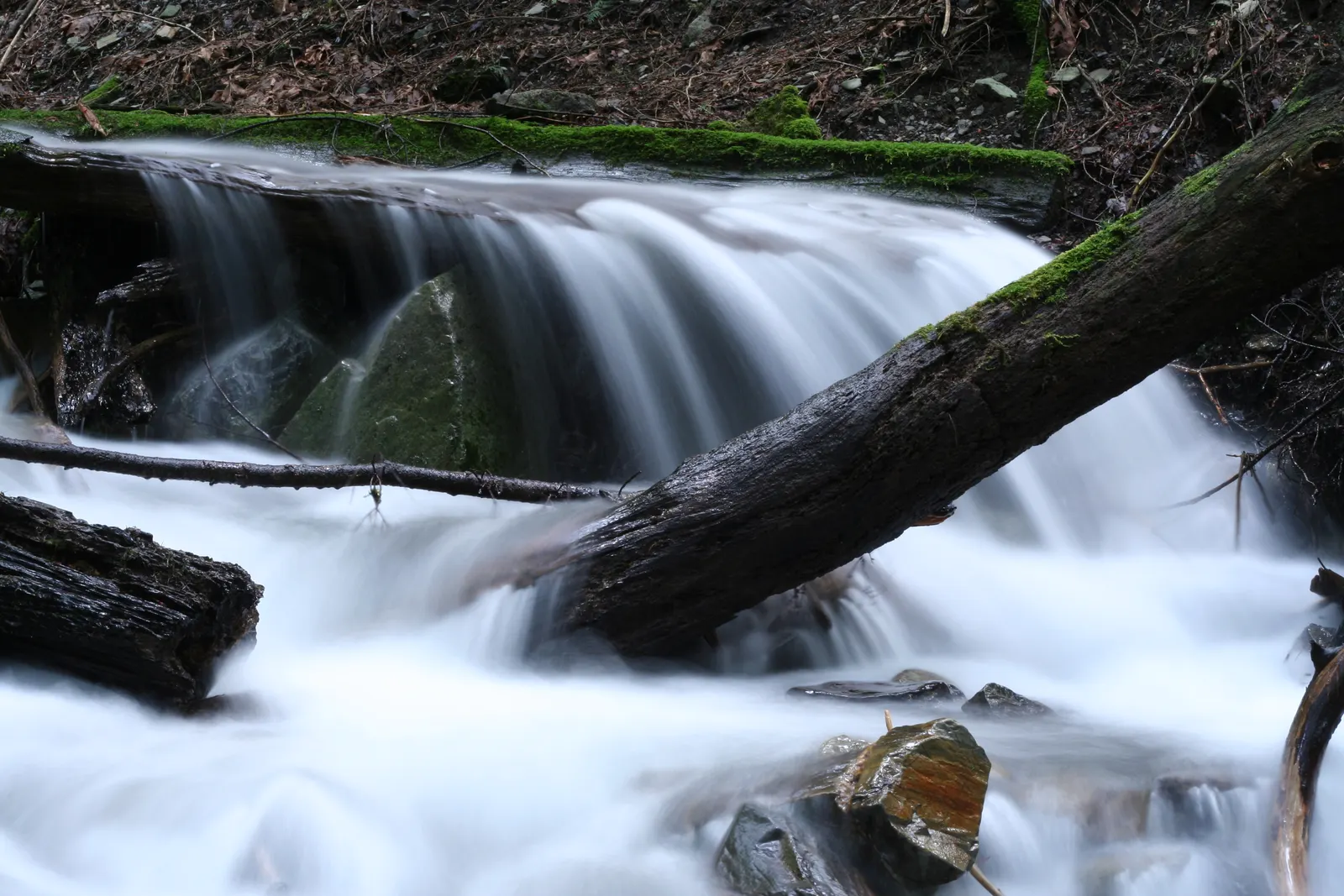 Smooth long-exposure stream flowing past a mossy fallen log and rocks in a forest