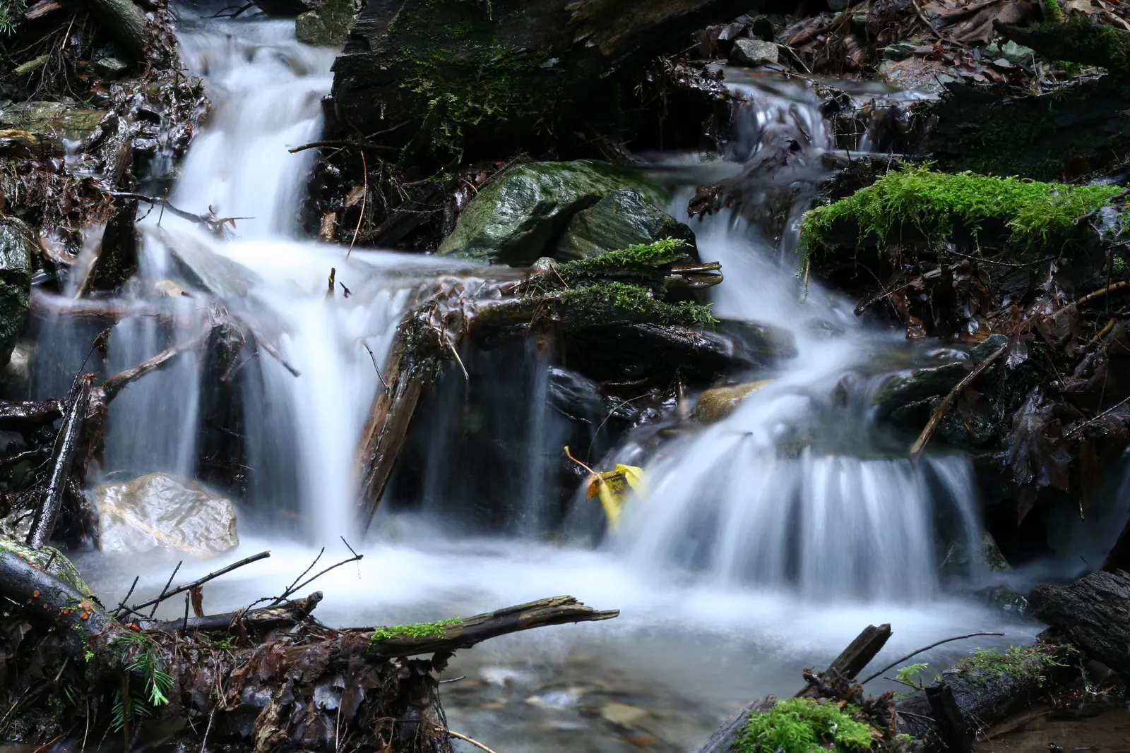 Long exposure of a small stream cascading over mossy rocks and logs in a forest