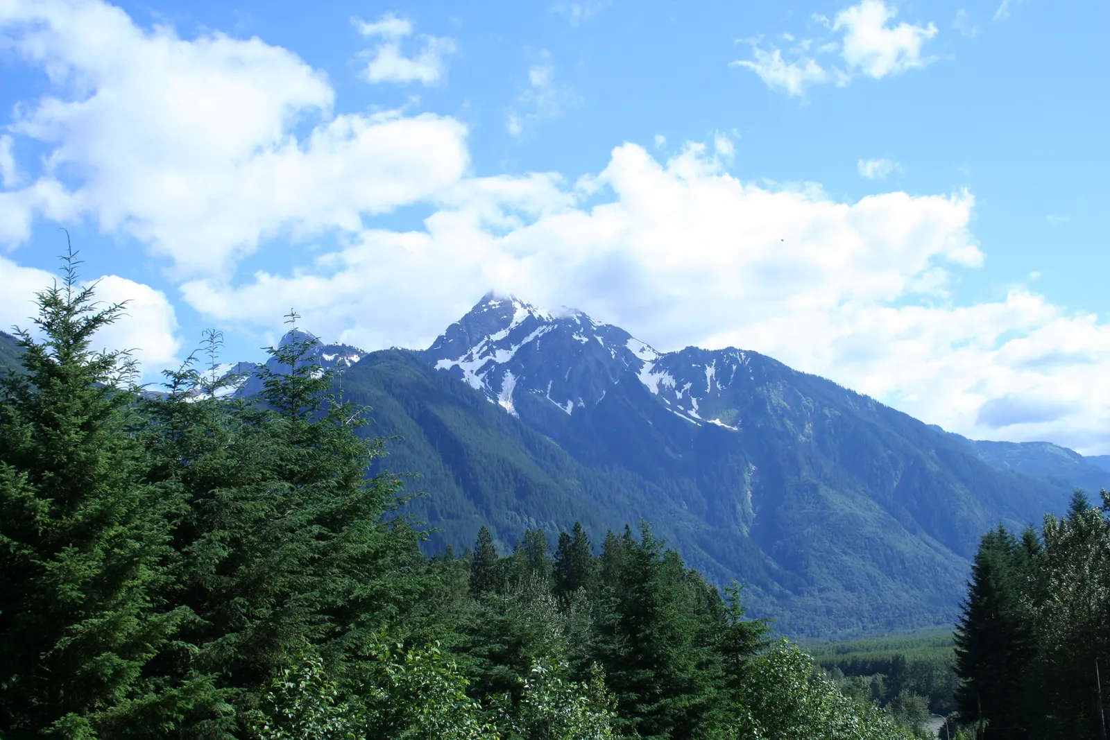 Snow-capped mountain peak above evergreen forest under a blue sky with white clouds