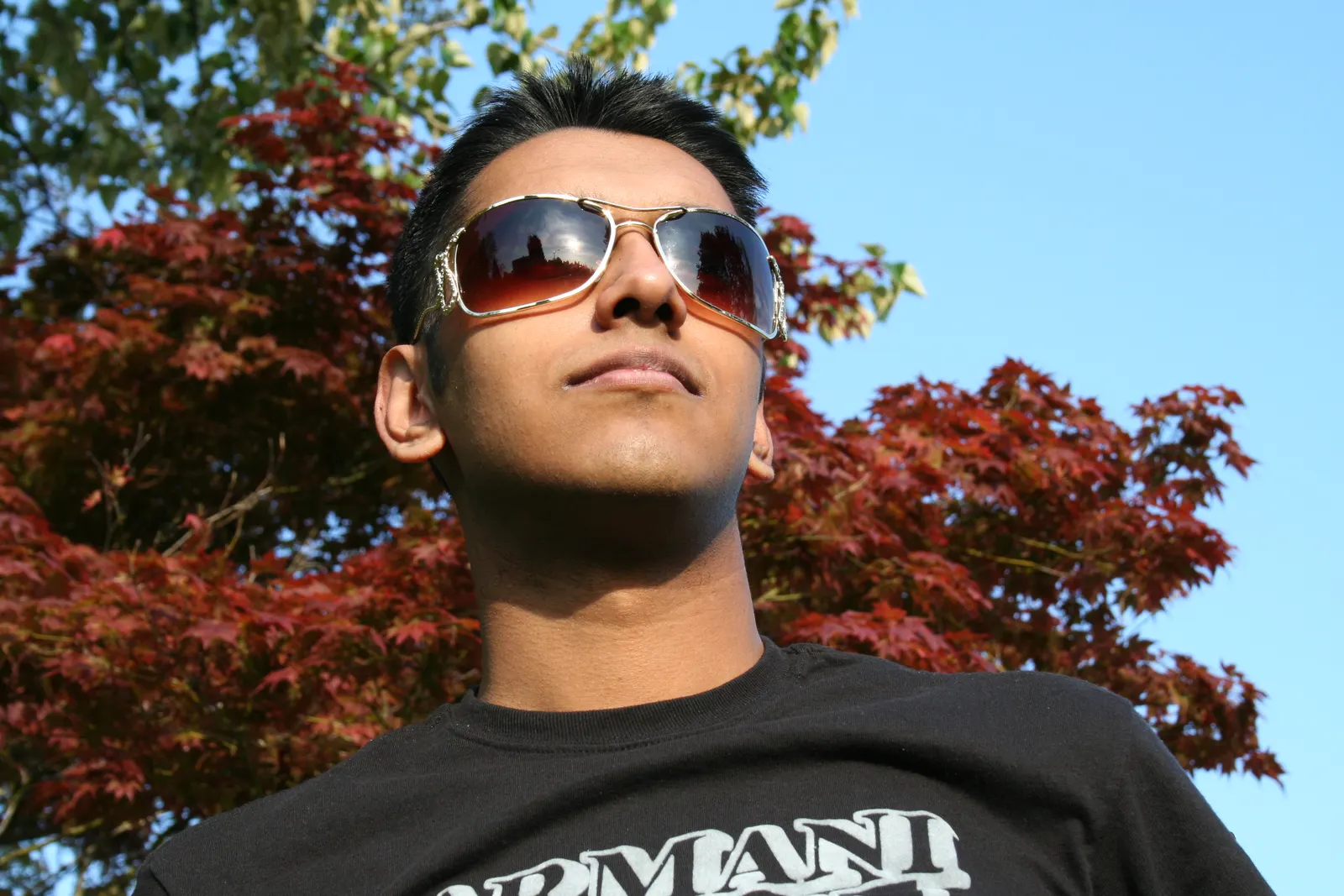 Young man in sunglasses and a black t-shirt framed by a red maple tree and blue sky