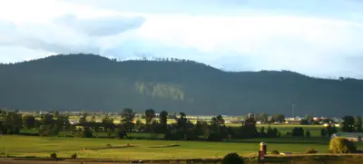 Green farm fields with trees and a silo below a dark forested hill under cloudy sky