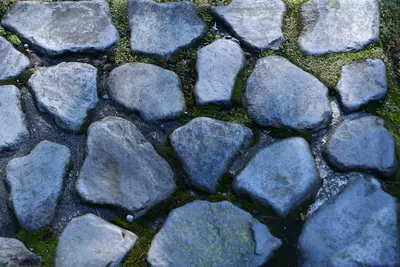 Irregular grey flagstones with green moss in the gaps forming a path