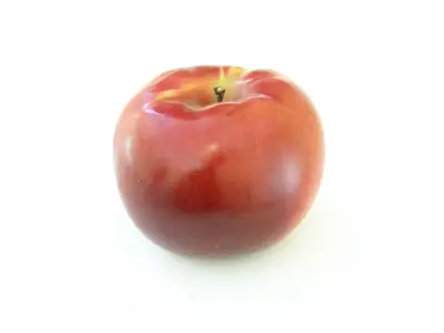 Single red apple with a short stem isolated on a white background